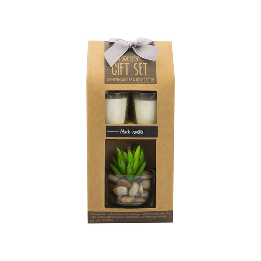 immagine-1-oem-set-2-candele-profumate-e-cactus-decorativo-ean-4029811374236