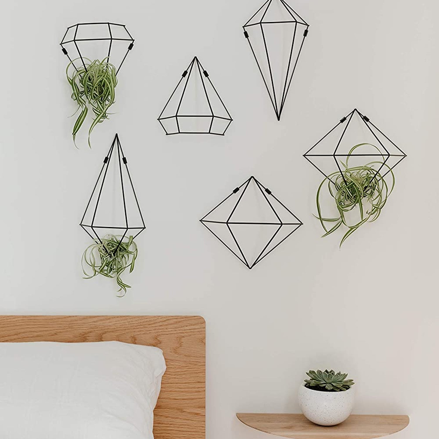 immagine-10-umbra-set-6-fioriere-decorative-da-parete-prisma-nero-ean-028295454155