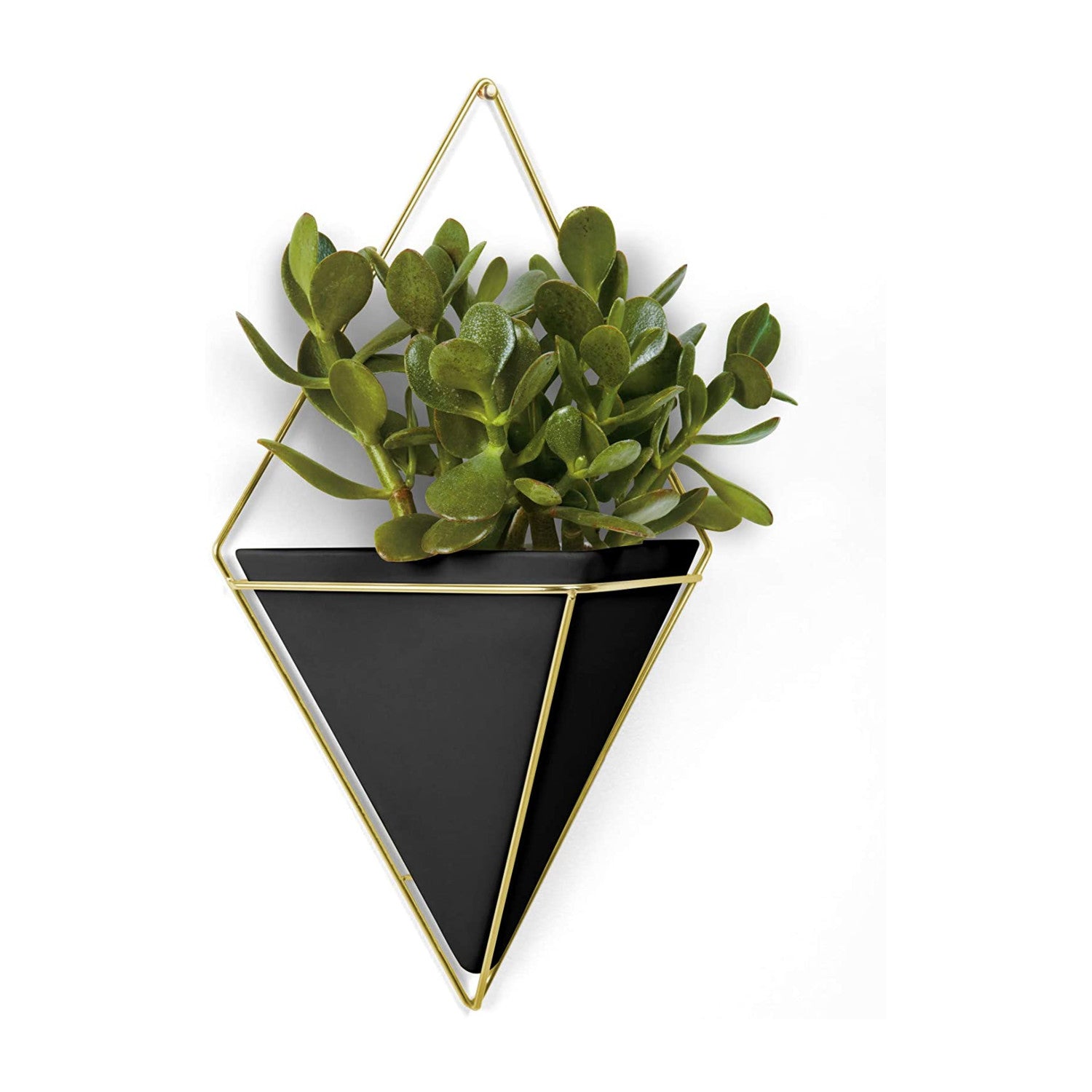 immagine-2-umbra-vaso-fioriera-decorativa-da-parete-39x22cm-nerooro-ean-028295317276