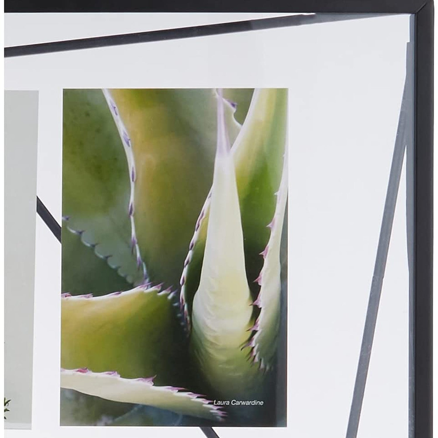 immagine-3-umbra-cornice-portafoto-prisma-56x46cm-nero-ean-028295320214