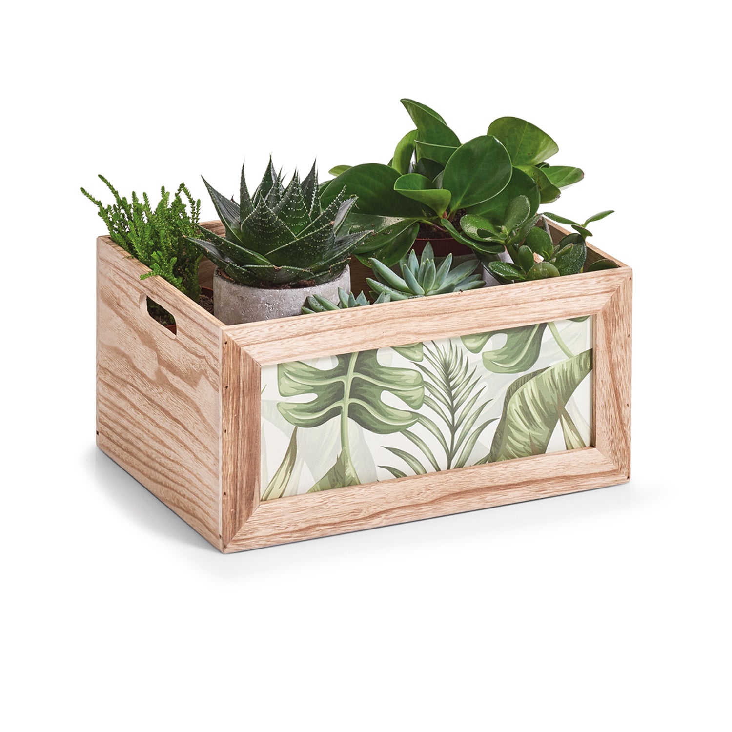 immagine-3-zeller-scatola-jungle-organizer-in-legno-37x27x18cm-ean-4003368151779
