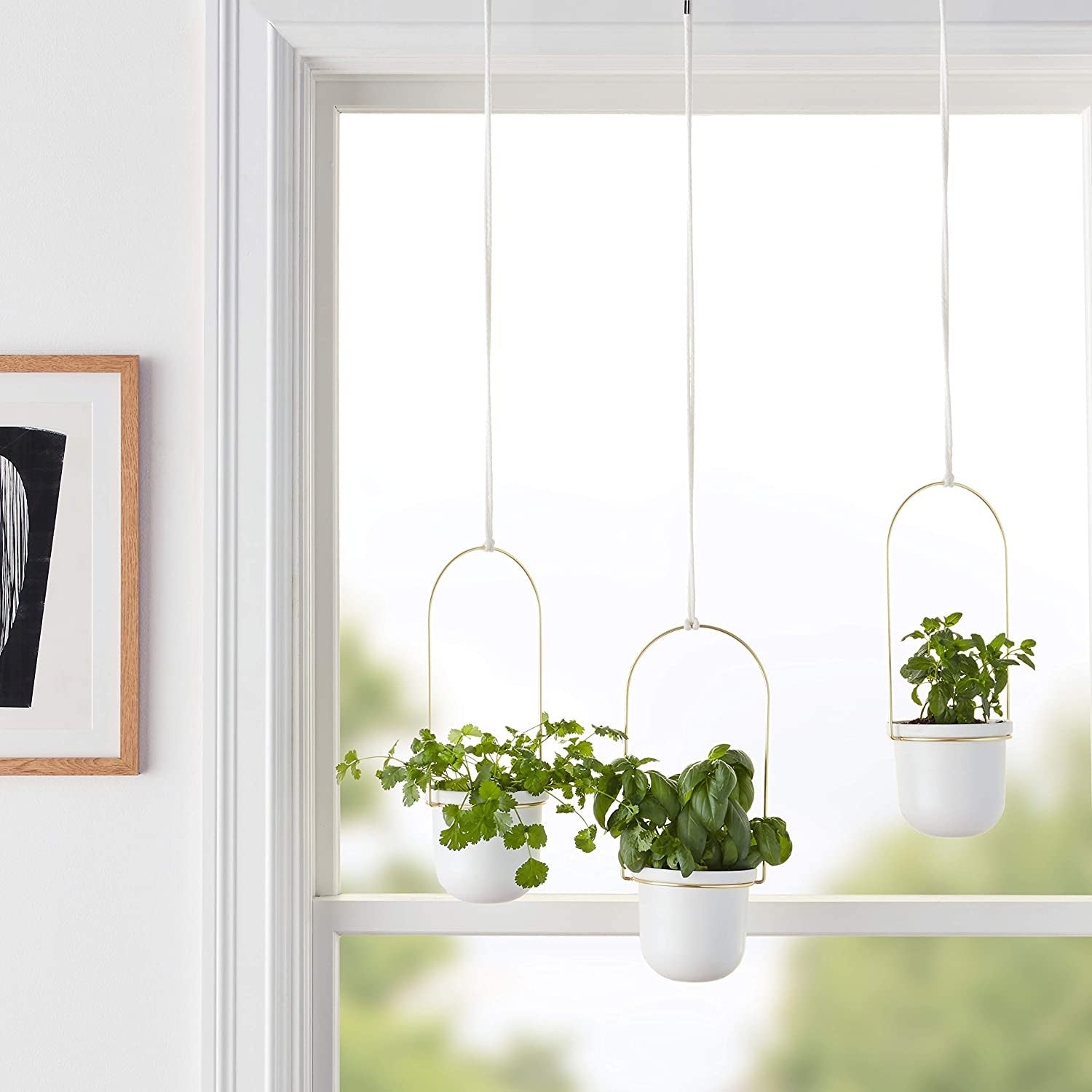 immagine-9-umbra-set-3-vasi-sospesi-decorativi-in-acciaio-biancoottone-ean-028295323444